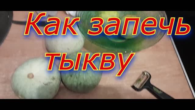 Александр.Рыбалка Обучение Кот Симба  Пёс Платон.