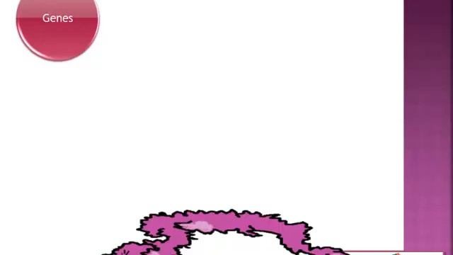 The boa and the can can girl смотреть онлайн