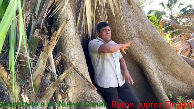 Disfrutando de la Naturaleza Conoce el Árbol nacional de Guatemala смотреть онлайн