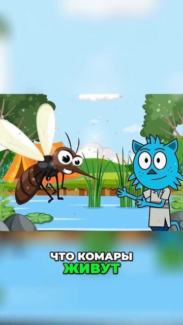 Учимся с Мурзиком