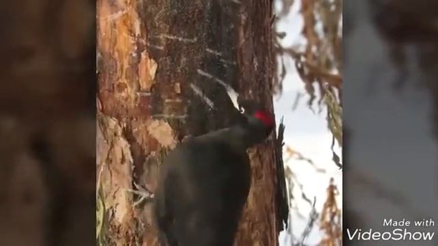 14 ноября 2019 г. смотреть онлайн