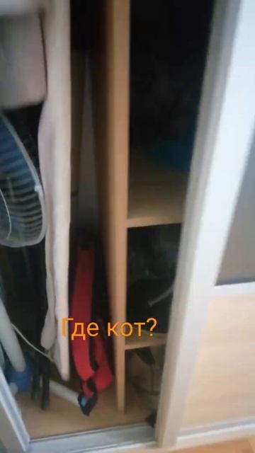 Кот спрятался. Ищу кота. Кота зовут Кубик. смотреть онлайн
