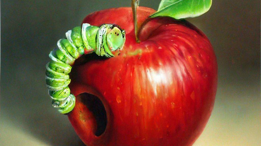 Цвета и Цифры - книжка для самых маленьких смотреть онлайн