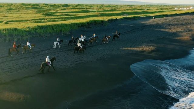 Смотри, что тут: Камчатка / Kamchatka смотреть онлайн
