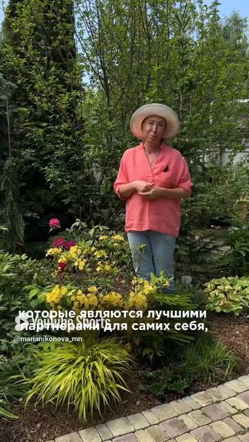 С чем сажать рододендроны?! смотреть онлайн