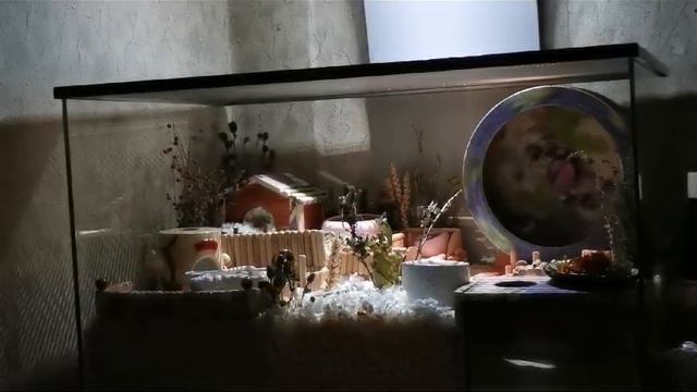 1000411359.mp4 смотреть онлайн