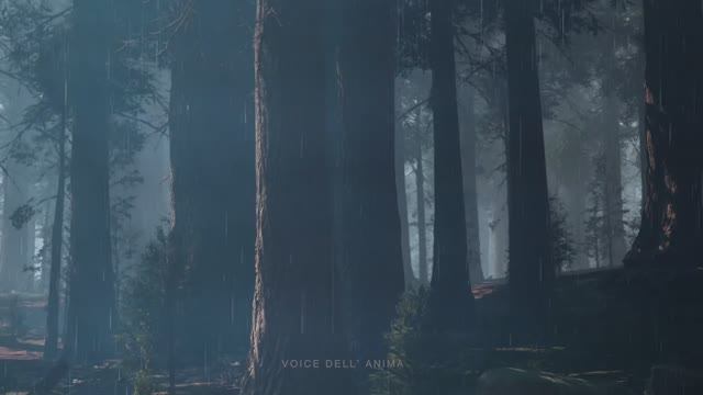 Музыка дождя со звуками Флейты Североамериканских индейцев - Красивая Музыка для Души