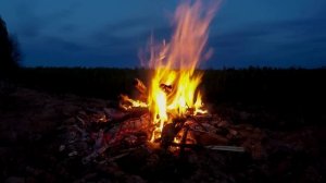 Атмосфера костра с ночными совами и сверчками. Для релаксации и сна
