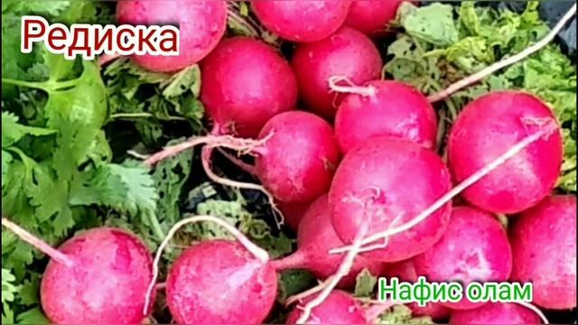Редиска билан осон озиш мумкин смотреть онлайн