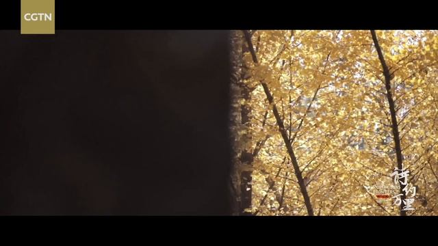 'Poetry Sans Frontiers': Accompanied by poetry when hospitalized смотреть онлайн