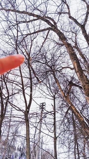 предательство