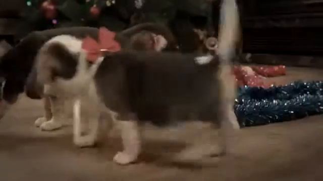 Frohe Weihnachten! смотреть онлайн