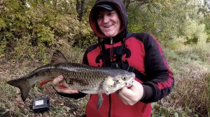 Осенние Трофеи на реке Сок в Сентябре! Рыбалка с берега на донки