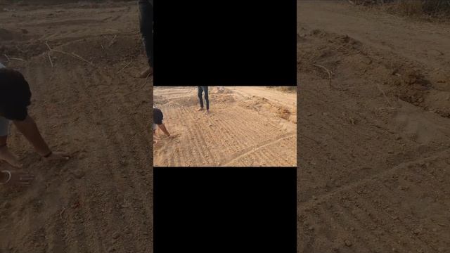 How to Plant Avisa/ Sesbania Grandiflora, /Hummingbird Tree, Hadga, Agase, Avisa, Agati Seeds. смотреть онлайн