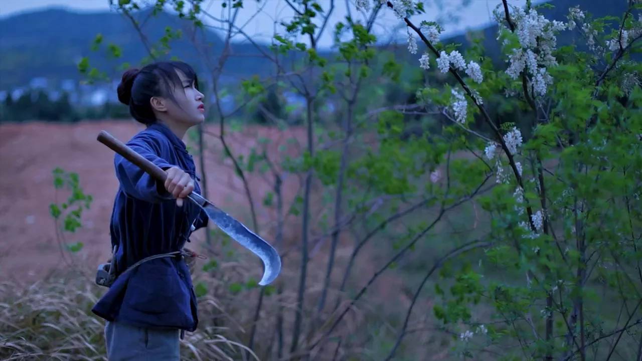 Блюдо, которое когда-то меня покорило! Аралия китайская, известный как «Дерево Женьшень».