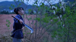 Блюдо, которое когда-то меня покорило! Аралия китайская, известный как «Дерево Женьшень».