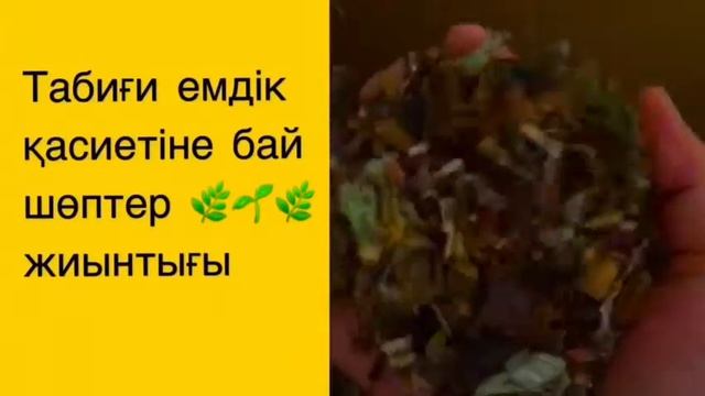 Алтын тамыр сауықтыру орталығы смотреть онлайн