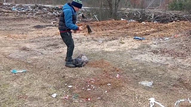 Як бють грушу сокірой не подецкому смотреть онлайн