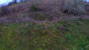 Охота с Пневматикой, много Фазана, (Hatsan)