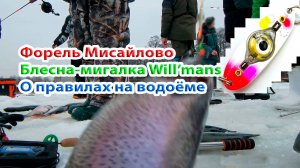 Мисайлово форель. Мигающая блесна Willmans сделала рыбалку.