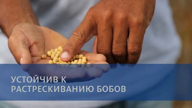 ДШ 863, 1