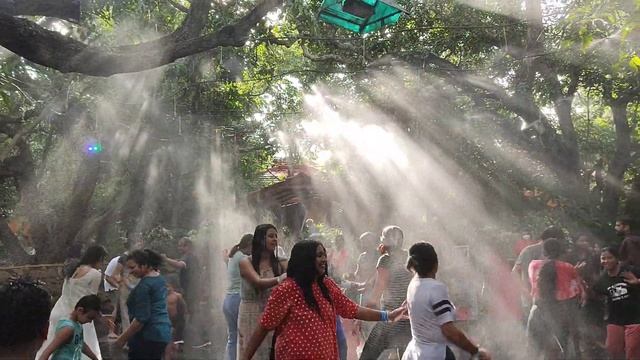 Mist dance at Mango mist Resort смотреть онлайн