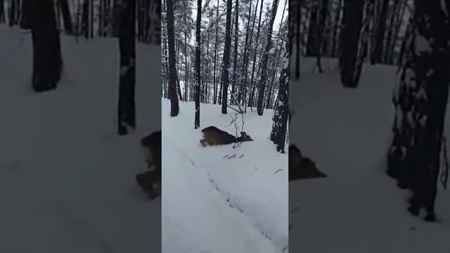 52446475 2299268230355586 5004952877819494400 n смотреть онлайн