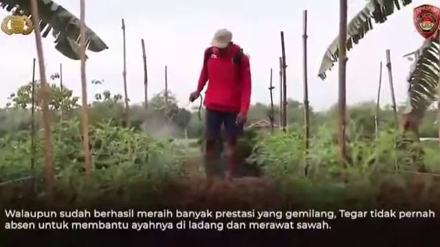 Video Conference Kapolri dg salah satu pemenang medali emas PON XX смотреть онлайн