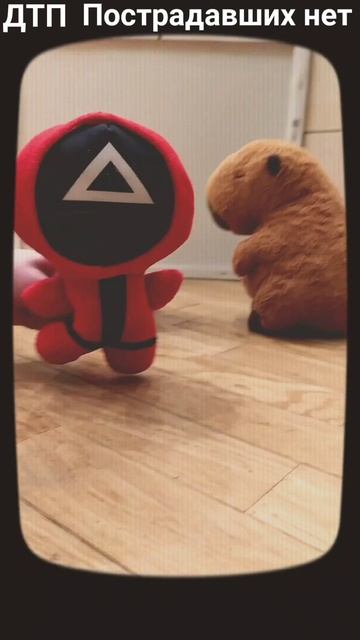 Новости кальмара