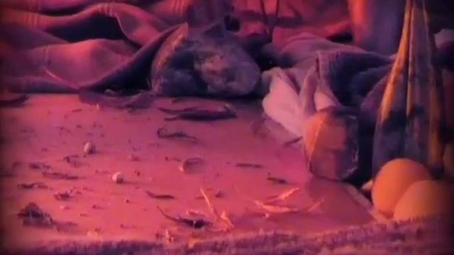 La Mujer Barbuda "Quetzalcoatlus" смотреть онлайн