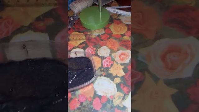 второй слайм он липнет 😢😢😢😢😢 смотреть онлайн