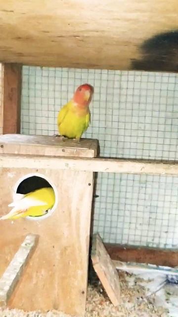 9 July 2024 смотреть онлайн