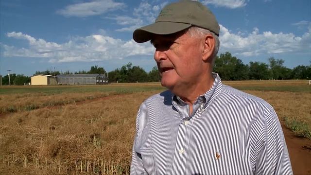 State of Canola (6/7/14) смотреть онлайн