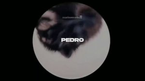 Песня про ||PEDRO PEDRO PEDRO PEDRO PE-|| c енотом))