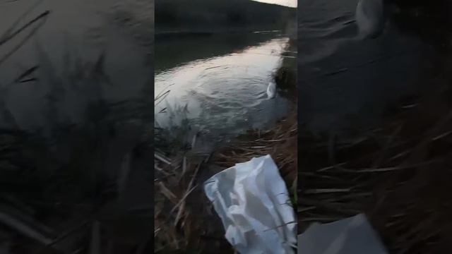 вечерянка на рыбалке смотреть онлайн