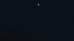 玉米粑粑——让家人们回到童年的熟悉美味【滇西小哥】