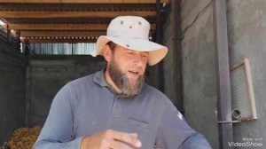 комбикорм для поросят,состав,подробно