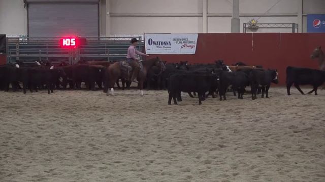 Little Lilly Lena: 3-Year-Old Open At 2021 Heartland Circuit Finals