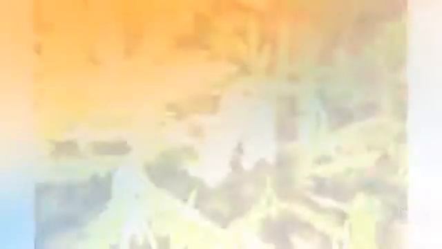 Comptonia - garden plants смотреть онлайн