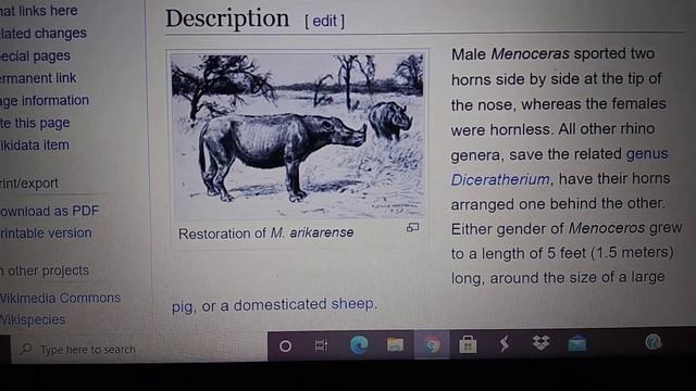 Cenozoic profile menoceras смотреть онлайн