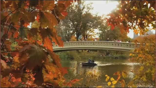 ЗОЛОТАЯ ОСЕНЬ.
Виталий Жмурко.
Вокал. смотреть онлайн