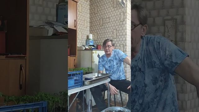 🍅 Подкормка и пересадка ( пикировка ) рассады. 🍅 Часть вторая.