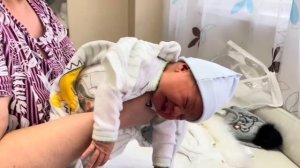 МИРОНУ 1 годик!!!🎉🥰❤️🔥20-02-2025