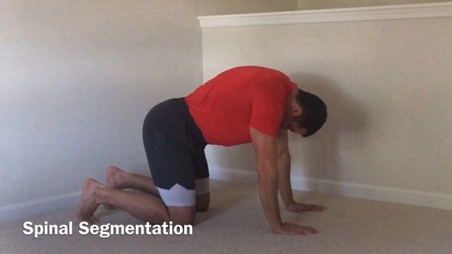30 Minute Full Body Mobility Instruction: Level 2 CARs смотреть онлайн
