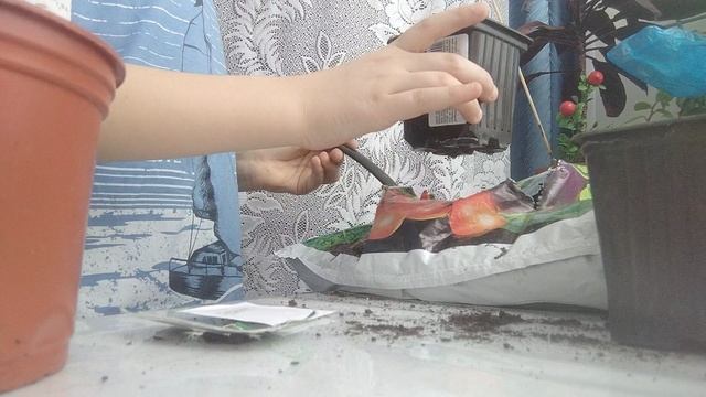 1000146704.mp4 смотреть онлайн