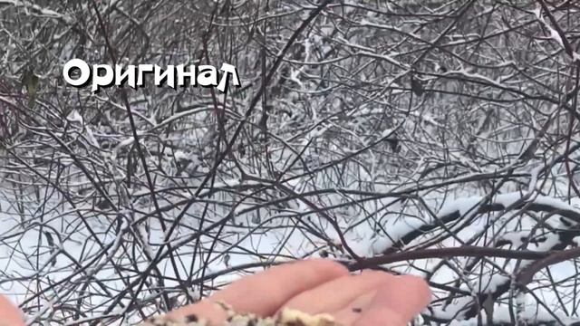 Стабилизация видео смотреть онлайн