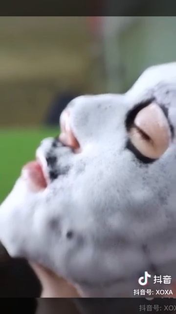(03002060175) IMAGES Bubble Facial Sheet Mask смотреть онлайн