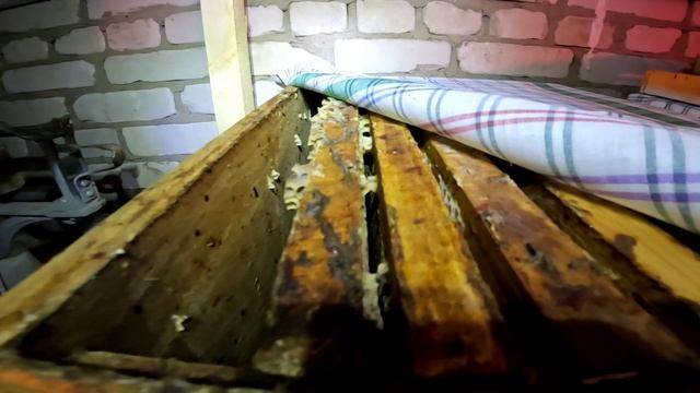 Р/к на 20 февраля смотреть онлайн