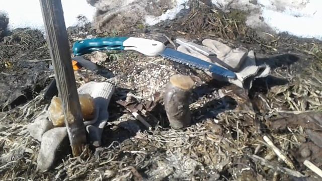 зайцам привет смотреть онлайн
