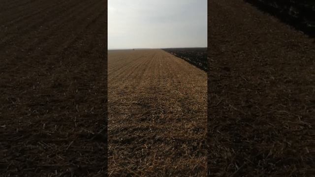 Внесення добрив під оранку смотреть онлайн